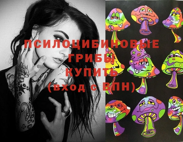 стафф Верхний Тагил