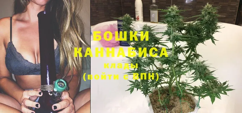 Бошки Шишки SATIVA & INDICA  Кизел 